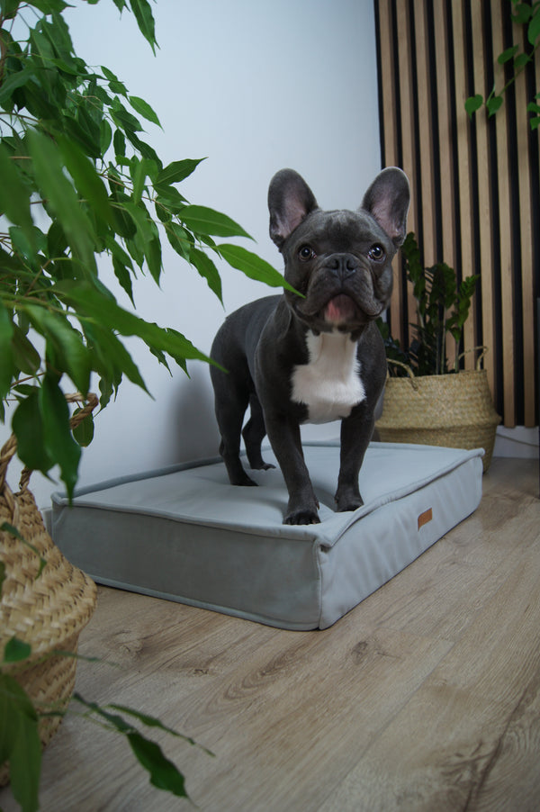 MISSOGNO Charm Orthopaedic Rectangle Dog Bed