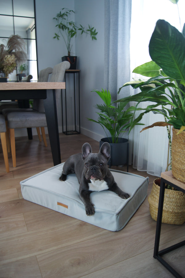 MISSOGNO Charm Orthopaedic Rectangle Dog Bed