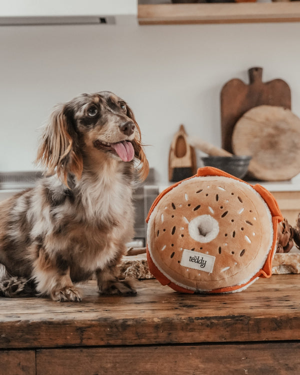By Teddy Bagel Dog Toy