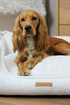 MISSOGNO Celestial Hypoallergenic Orthopaedic Dog Bed