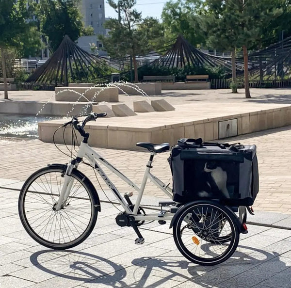 AddBike B-Back Box Pet | Tricycle Dog Bike Trailer Pet Strollers AddBike Silver Circle Pets