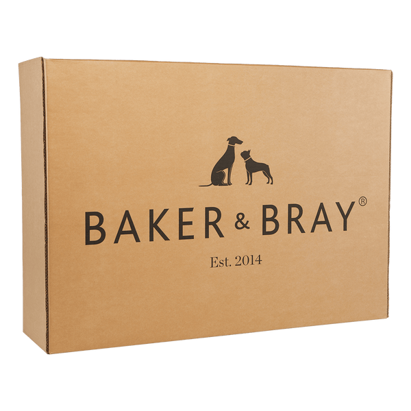 Baker & Bray Eco Luxe Orthopaedic Luxury Dog Bed Memory Foam Dog Bed Barker & Bray Silver Circle Pets