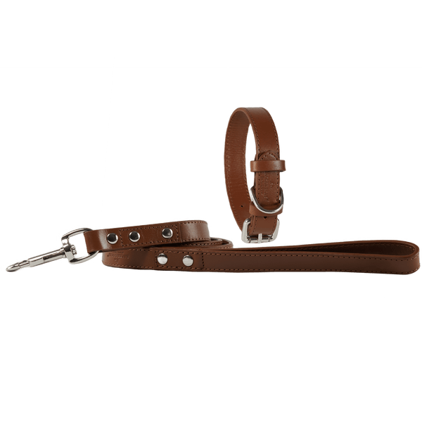 Baker & Bray Sustainable Designer Leather Dog Collar & Lead Set | Brown Dog Collar & Lead Barker & Bray Silver Circle Pets
