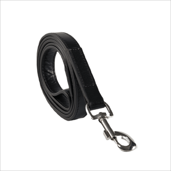 Baker & Bray Sustainable Designer Leather Dog Lead | Black Dog Leash Baker & Bray Silver Circle Pets