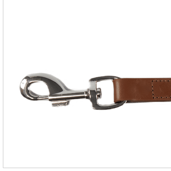 Baker & Bray Sustainable Designer Leather Dog Lead | Brown Dog Leash Baker & Bray Silver Circle Pets