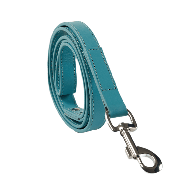 Baker & Bray Sustainable Designer Leather Dog Lead | Lagoon Dog Leash Baker & Bray Silver Circle Pets