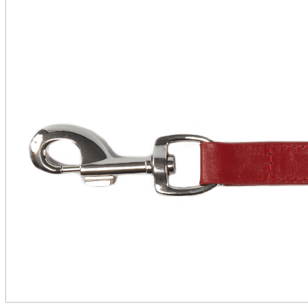 Baker & Bray Sustainable Designer Leather Dog Lead | Rose Dog Leash Baker & Bray Silver Circle Pets