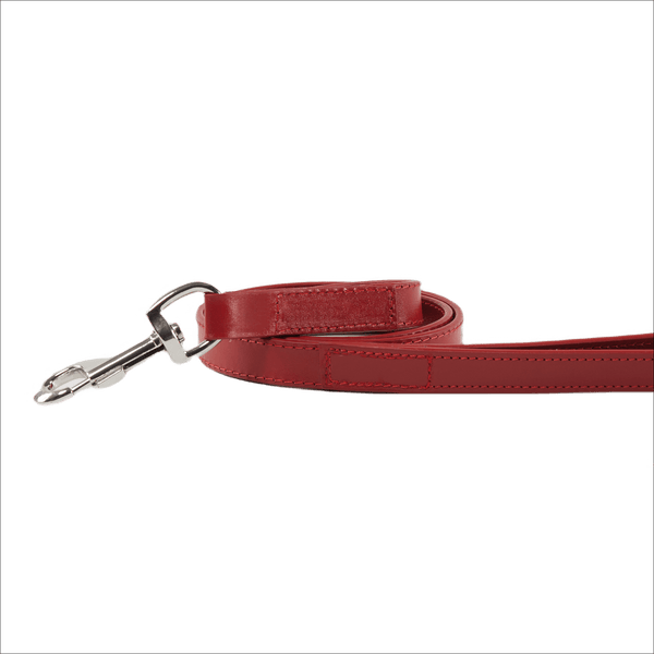 Baker & Bray Sustainable Designer Leather Dog Lead | Rose Dog Leash Baker & Bray Silver Circle Pets