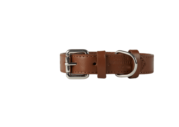 Baker & Bray Sustainable Leather Dog Collar | Brown Dog Collar Baker & Bray Silver Circle Pets