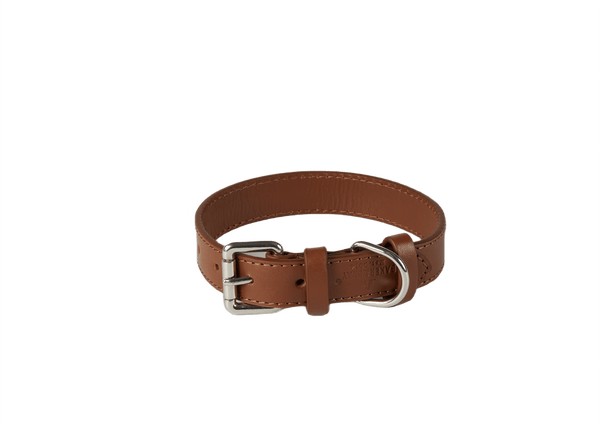 Baker & Bray Sustainable Leather Dog Collar | Brown Dog Collar Baker & Bray Silver Circle Pets
