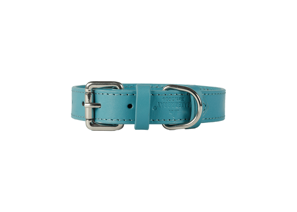 Baker & Bray Sustainable Leather Dog Collar | Lagoon Dog Collar Baker & Bray Silver Circle Pets