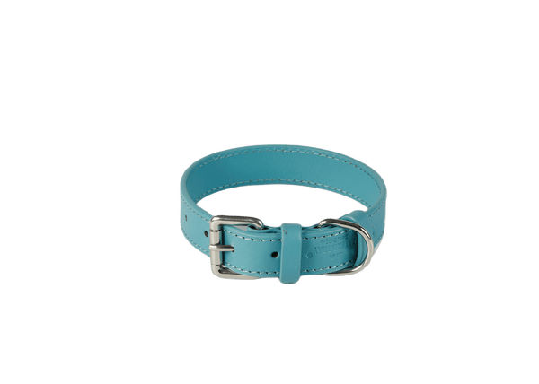 Baker & Bray Sustainable Leather Dog Collar | Lagoon Dog Collar Baker & Bray Silver Circle Pets