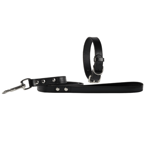 Baker & Bray Sustainable Leather Dog Collar & Lead Set | Black Collar & Leash Set Baker & Bray Silver Circle Pets