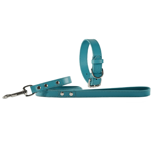 Baker & Bray Sustainable Leather Dog Collar & Lead Set | Lagoon Collar & Leash Set Baker & Bray Silver Circle Pets