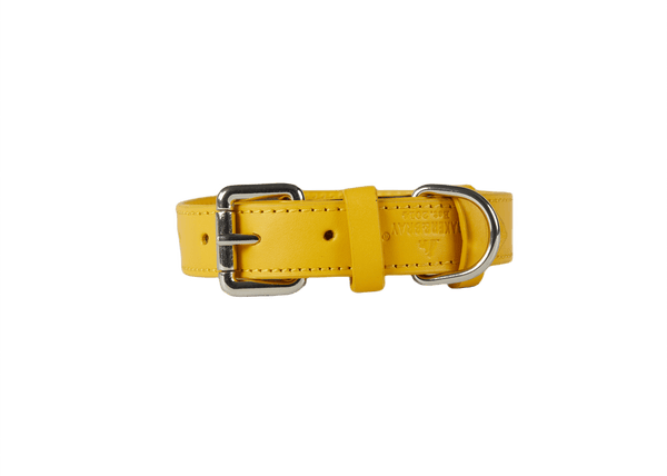 Baker & Bray Sustainable Leather Dog Collar & Lead Set | Lemon Dog Collar & Lead Baker & Bray Silver Circle Pets