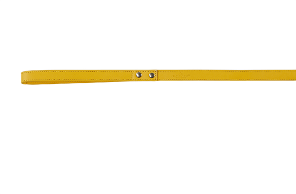 Baker & Bray Sustainable Leather Dog Collar & Lead Set | Lemon Dog Collar & Lead Baker & Bray Silver Circle Pets