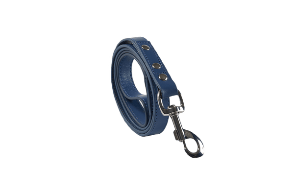 Baker & Bray Sustainable Leather Dog Collar & Lead Set | Navy Dog Collar & Lead Baker & Bray Silver Circle Pets