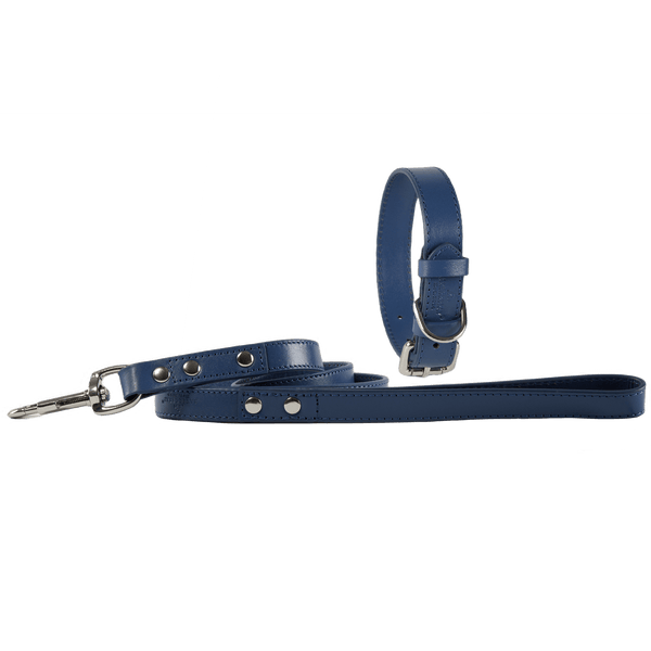Baker & Bray Sustainable Leather Dog Collar & Lead Set | Navy Dog Collar & Lead Baker & Bray Silver Circle Pets