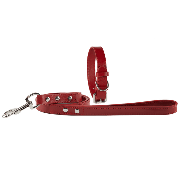 Baker & Bray Sustainable Leather Dog Collar & Lead Set | Rose Dog Collar & Lead Baker & Bray Silver Circle Pets