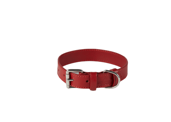 Baker & Bray Sustainable Leather Dog Collar | Rose Collar Baker & Bray Silver Circle Pets