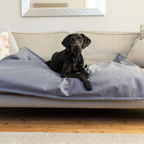 Baker & Bray Temperature Regulating Dog Blanket Dog Blanket Baker & Bray Silver Circle Pets