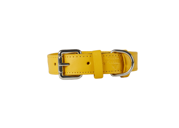 Barker & Bray Sustainable Leather Dog Collar | Lemon Dog Collar Barker & Bray Silver Circle Pets