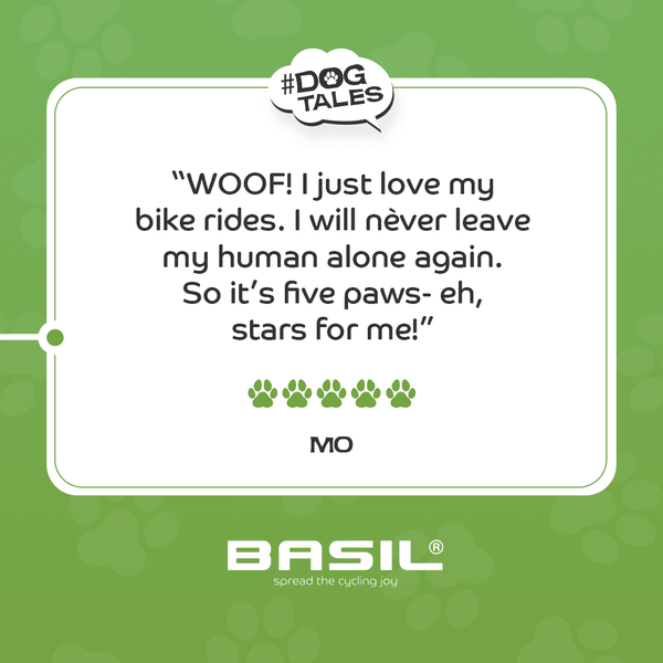 Basil Buddy MIK Dog Bike Basket Pet Accessories Basil Silver Circle Pets