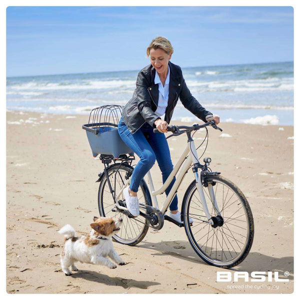 Basil Buddy MIK Space Frame Pet Accessories Basil Silver Circle Pets