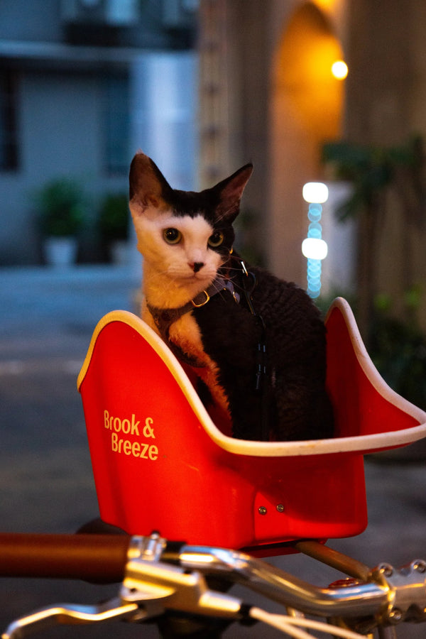 Brook & Breeze Canine Copilot Dog Bike Seat | Fittings Included
