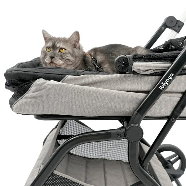 Ibiyaya Trackpack For Birds | Medium