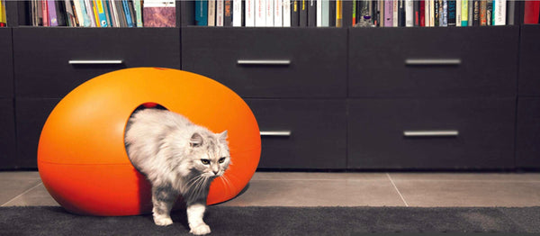 Design Cat Litter Box Cat Litter Box Design Silver Circle Pets