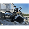 Doggy Tourer Boomer X Dog Bike TrailerDoggy Tourer Silver Circle Pets