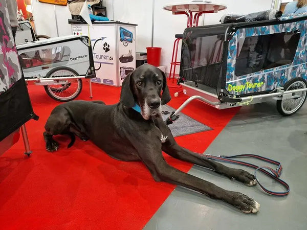 Doggy Tourer Boomer X Dog Bike TrailerDoggy Tourer Silver Circle Pets