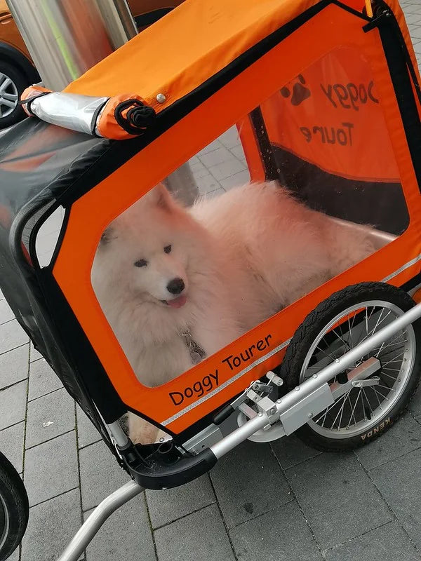 Doggy Tourer Idefix Small Dog Bike TrailerDoggy Tourer Silver Circle Pets