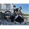 Doggy Tourer Marley Large Dog Bike TrailerDoggy Tourer Silver Circle Pets