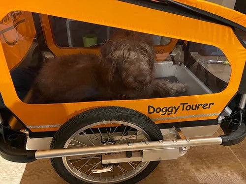 Doggy Tourer Marley Large Dog Bike TrailerDoggy Tourer Silver Circle Pets