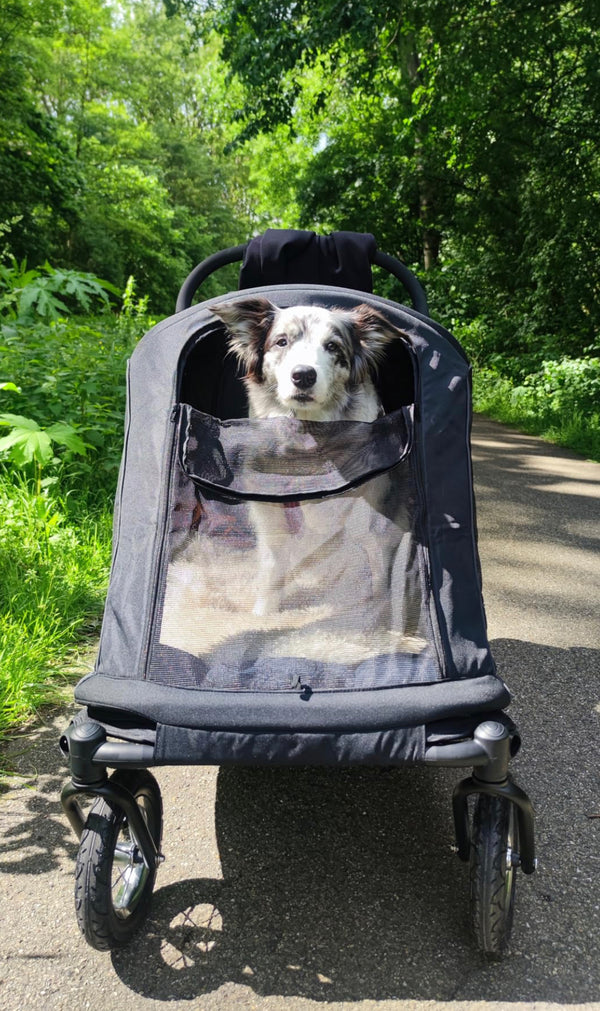 Petique Apollo Elite Pet Stroller incl. Free Rain Cover & Bike Adapter