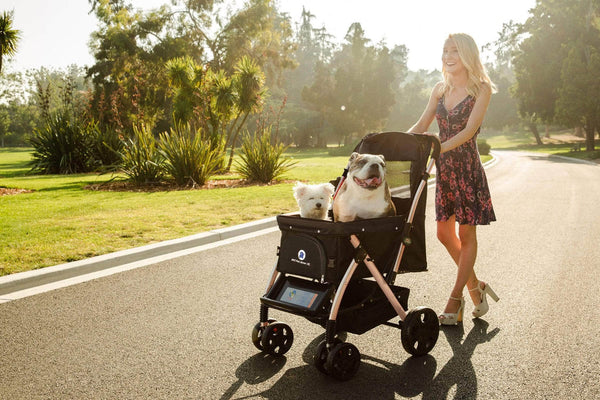 HPZ Pet Rover XL Stroller | Extra-Long Expandable Pet Strollers HPZ Pet Rover Silver Circle Pets