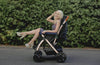 HPZ Pet Rover XL Stroller | Extra-Long Expandable Pet Strollers HPZ Pet Rover Silver Circle Pets