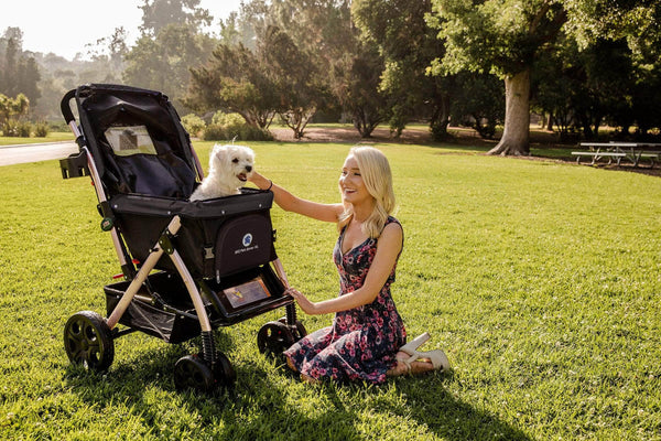 HPZ Pet Rover XL Stroller | Extra-Long Expandable Pet Strollers HPZ Pet Rover Silver Circle Pets
