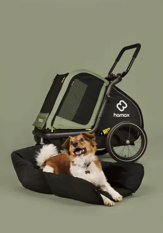Hamax Pluto Multi-functional Dog Stroller & Dog Bike Trailer | Medium & Large Pet Strollers Hamax Silver Circle Pets