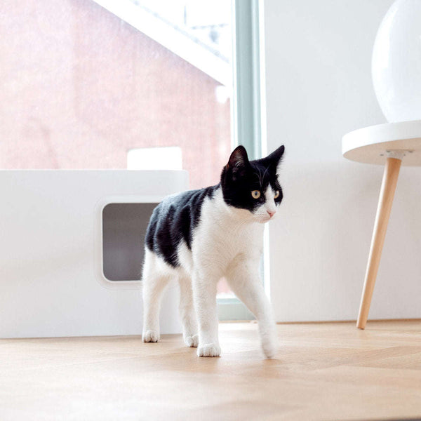 Hoopo Dome Cat Litter Box Cat Litter Box Hoopo Silver Circle Pets