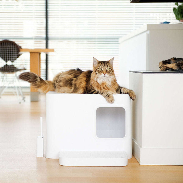 Hoopo Dome Plus Cat Litter Box Cat Litter Box Hoopo Silver Circle Pets