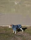 Tadazhi Dog Raincoat