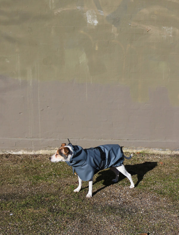 Tadazhi Dog Raincoat