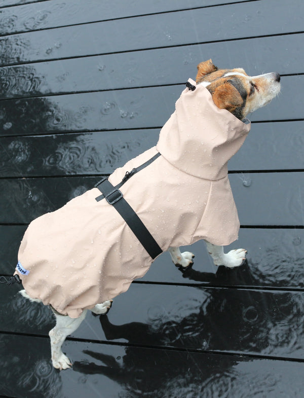 Tadazhi Dog Raincoat