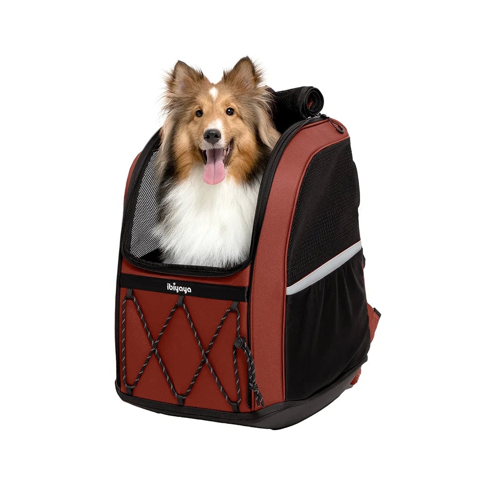 Ibiyaya 3-in-1 Champion Large Backpack Dog Carrier Silver Circle