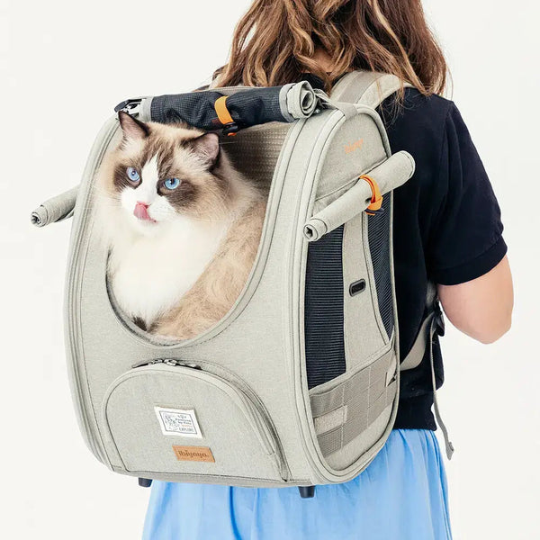 Ibiyaya Adventure Cat Carrier Backpack Pet Accessories Ibiyaya Silver Circle Pets