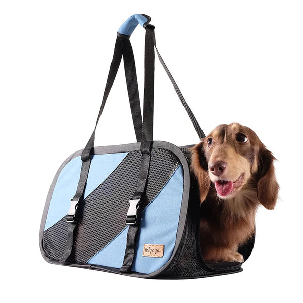 Ibiyaya Flying Pal Foldable Pet Travel Carrier Pet Carrier Ibiyaya Silver Circle Pets