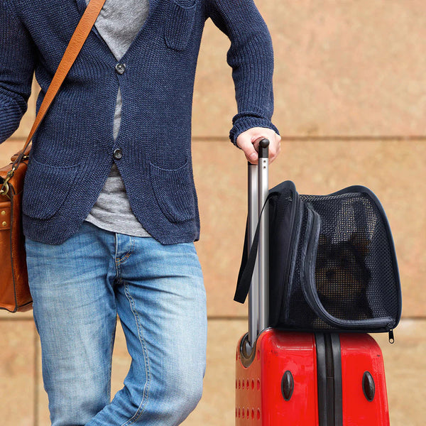 Ibiyaya Flying Pal Foldable Pet Travel Carrier Pet Carrier Ibiyaya Silver Circle Pets